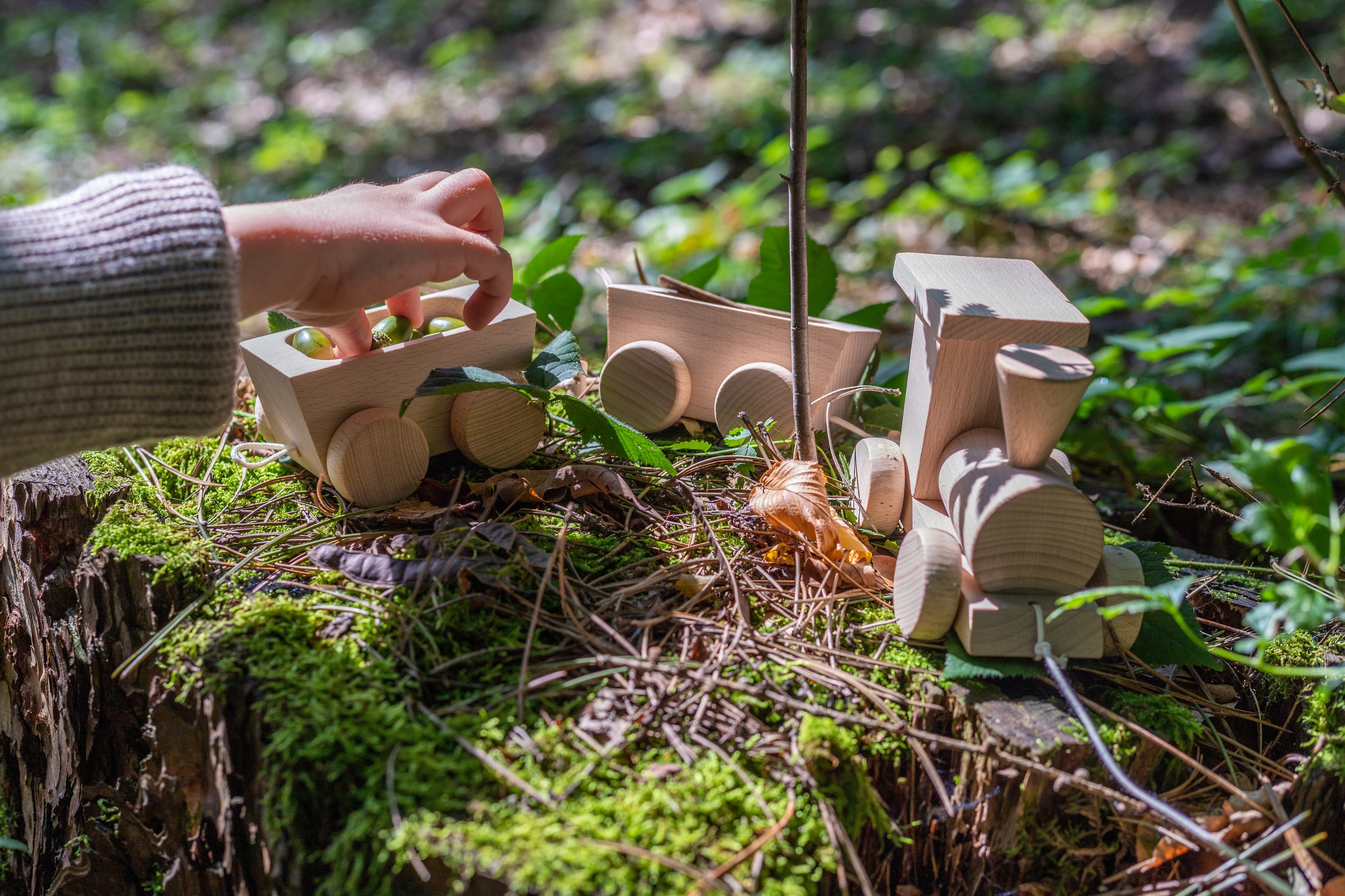 Wooden Toys - Jacob's Montessori