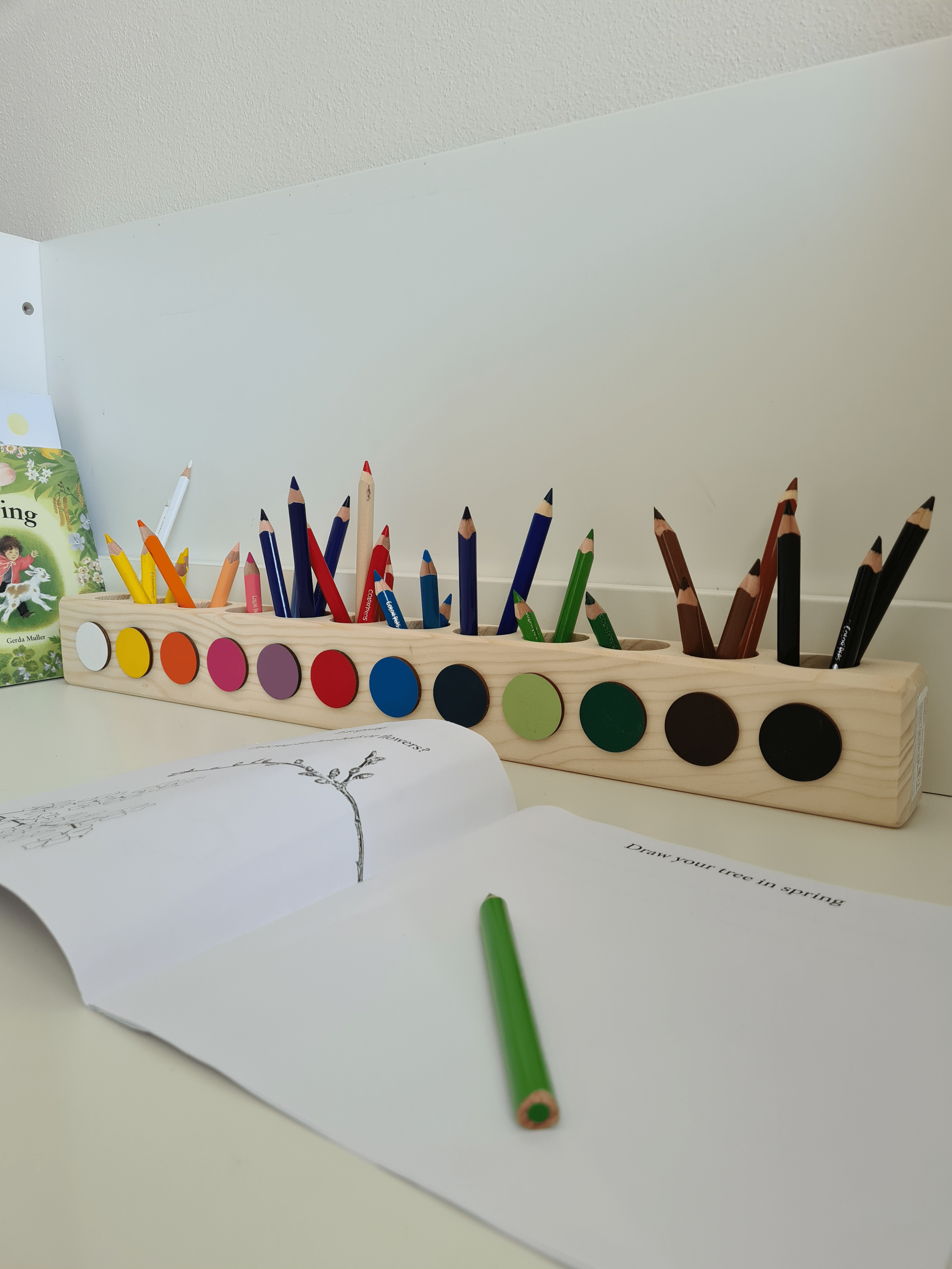 Color Sorting Holder - Jacob's Montessori
