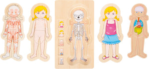 Layer Puzzle Anatomy Girl
